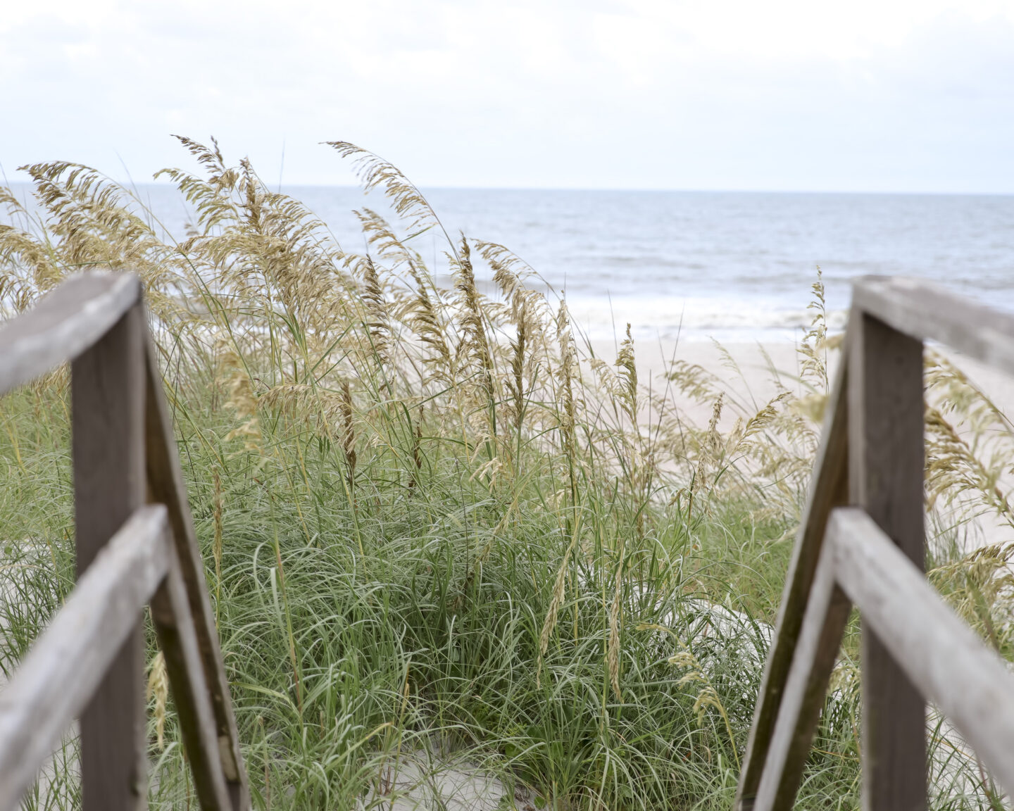 Amelia Island Fernandina Beach View