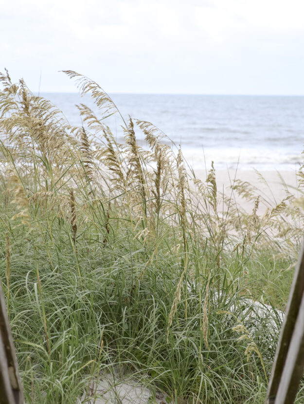 Amelia Island Fernandina Beach View